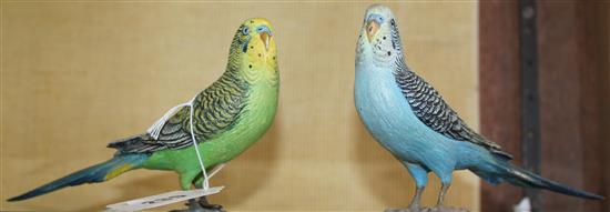 2 cold painted bronze budgies